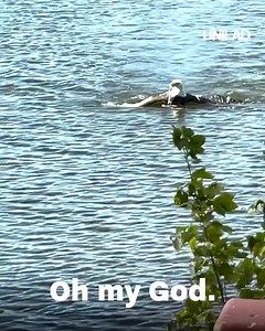 This eagle must be absolutely shredded to catch that! 😮 🦅 | LADbible Australia