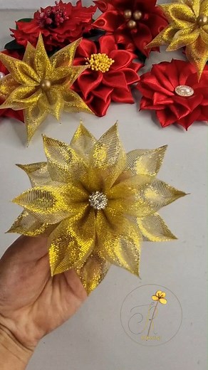 mas nochebuenas 🧑‍🎄🎄 #Rossini #flores #flowers | Rossini