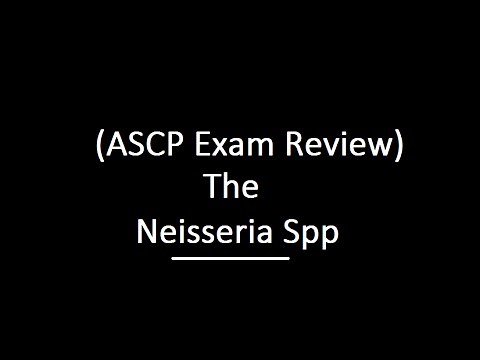 Neisseria spp ASCP Exam Review