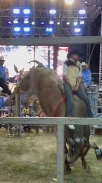 PRIVADO PRIVADO LA CHANGA DEL DF VS TAZO DORADO RANCHO LA PIEDAD JARIPEO EN MOMPANI QUERÉTARO 2026