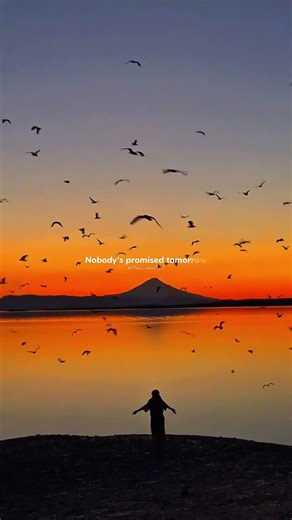 Die with a smile - bruno mars | lyrics |aesthetic | whatsapp Status | English songs | slowed #lyrics