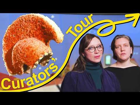 Curators' exhibition tour | Hawai'i: a kingdom crossing oceans