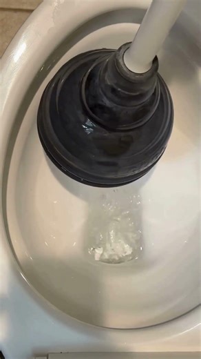 Which Plunger is BEST? Toilet vs. Sink Plunger Comparison