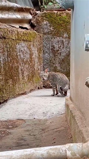 Cleaning fish with seeing vlog 😅||#youtubevideo #youtubevideo