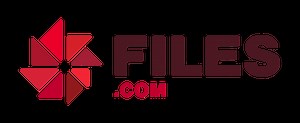 Documentation - Using a Custom Domain — Files.com