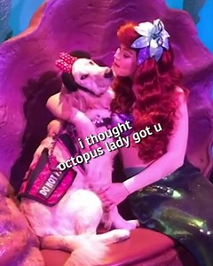 4.2M views · 31K reactions | Disney World is certainly the happiest place on earth for this pup.  (via Animalkind Stories) | Animal Planet | Facebook