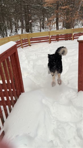 Earl Slick (official) on Reels