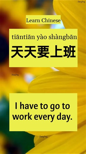 Basic Chinese Phrases for Daily Conversations #LearnChinese #ChineseForBeginners #BasicChinese