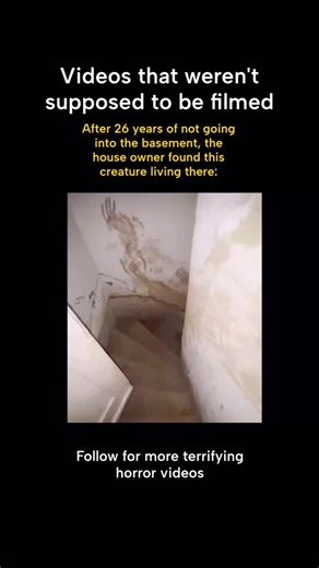 Horror on camera on Instagram: "The key was rusty. He hadn’t gone into the basement in 26 years, not since the night his son said there was “someone breathing under the stairs.” Dust coated everything as he descended. Old furniture. Broken toys. Silence so thick it hummed. Then he saw the corner. Something was sitting there—thin, folded in on itself like it had learned how to be small. Its skin was pale, stretched, and covered in fingerprints that weren’t human. When it turned its head, he recog