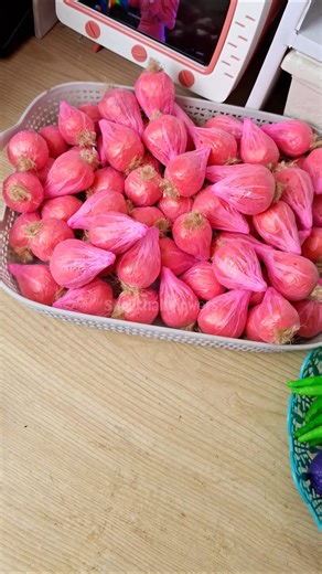 Making a Red Onion Replica from a Shopping Bag #handmade #craft #diy