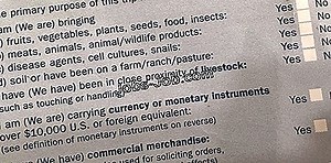 Como Escrever Um Formulário De Matriz De Treinamento | Carreira e trabalho - 2026
