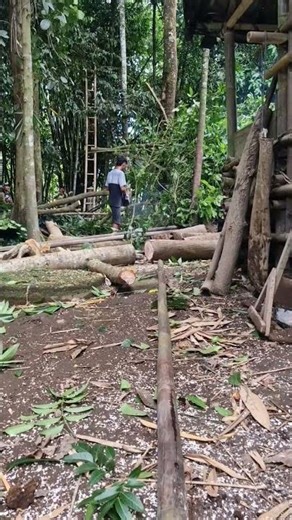 Modern agricultural tools for splitting tree trunks -Agriculture farming #shorts