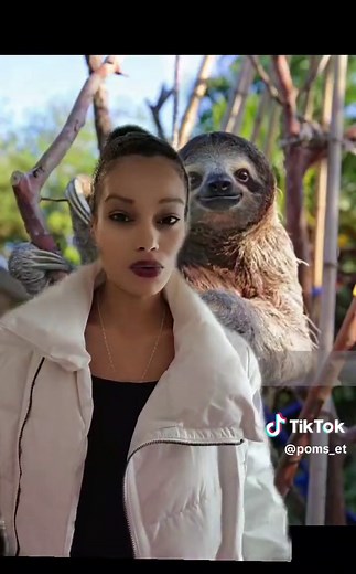 Sloth 🦥 #zootopia