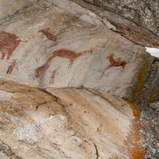 A partir do Parque Nacional de Chimanimani, Distrito de Sussundega, na província de Manica, chegam nos a mensagem do Administrador do Parque Nacional de Chimanimani, Lionel Macicame que deseja a todos nossos amigos (as) internautas um próspero ano novo 2026. Já somos mais de 26 mil seguidores muito obrigado a todos. | Administração Nacional das Áreas de Conservação