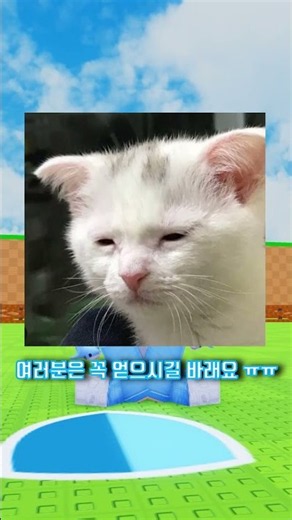달걀 훔치기 비밀 공간 신규 무기 얻는 법! #계란훔치기