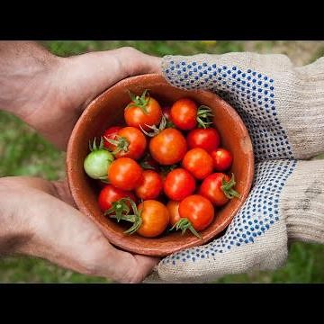 Transforming Food Systems