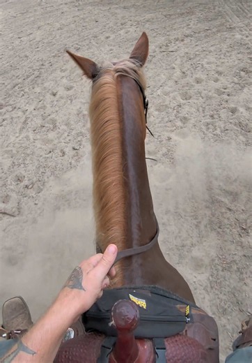 Soft departure, hard stop. Perfect. #horse #horsepov #westernriding #reining #horsetraining