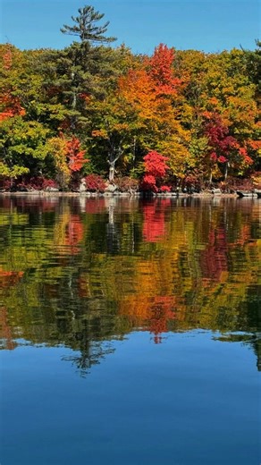 97K views | Discover the beauty of fall in New England at Cottage Place on Squam Lake. Cozy cabins, lake views, a private beach, and fire pits, all surrounded by vibrant autumn colors. Book your perfect fall escape in the Lakes Region. | Cottage Place on Squam Lake - Holderness NH | Facebook
