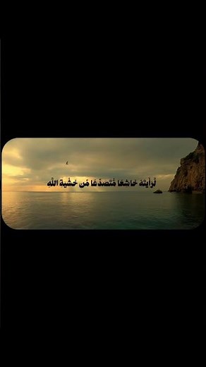 رحم الله الشيخ علي جابر | تلاوة هادئة #علي_جابر #اكسبلور
