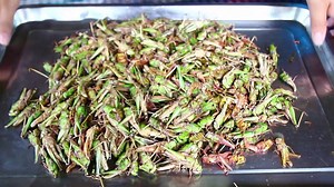 1.2K views · 24 reactions | Cooking Chrispy Grasshopper with Chili - Fried green locust eating Delicious | Fresh Cook | Facebook