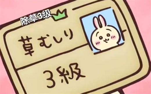 宝宝才不是怪叫兔