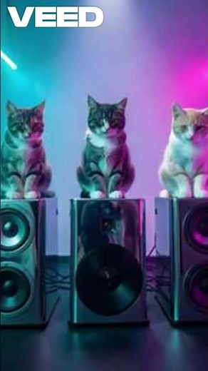 Cats Dont Dance