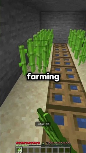 How to get started on this SHOP-SURVIVAL server... #minecraft #minecraftshorts #fyp #minecraftserver