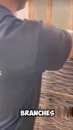 53K views · 188 reactions | Eco Friendly na Wall na gawa sa Kahoy #fblifestyle #reelsviralシ #reelsvideoシ | Romel Layese | Facebook