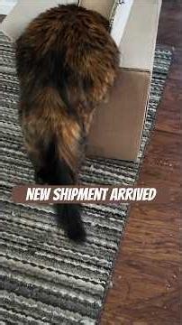 Homestead Jobs Ep. 2 | Shipping & Receiving Clerk