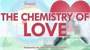 The Chemistry of Love | Reactions Science Videos - American Chemical Society