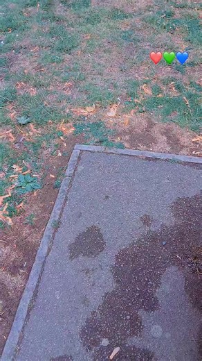 🇬🇧Stephen💯 Graham🇬🇧💷 (@stephengraham2025)’s videos with original sound - Make Muscles