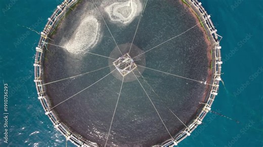 Zenithal zoom out aerial view of a circular offshore fish farming structure showing net system and central platform in open ocean.