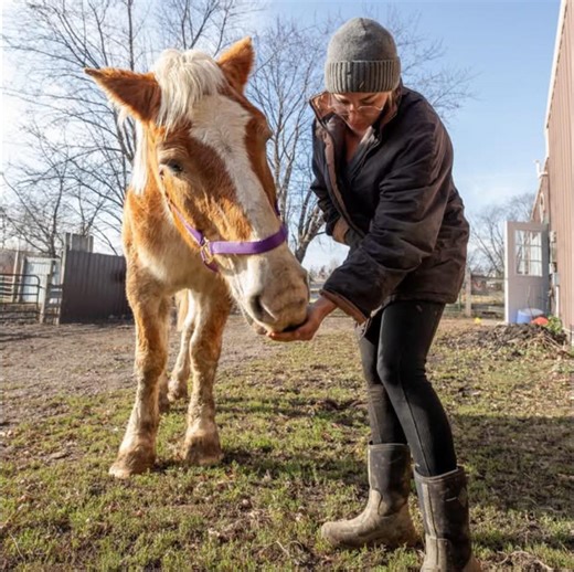 We dare you not to fall in love with our newest arrival, Paisley! 🤤 #... | HWHP