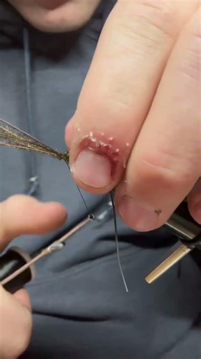 Beetle pattern #flyfishing #fishing