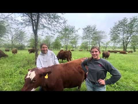 Greg, Lila and Elizabeth discuss spring calving season methods with a beautiful savannah setting.