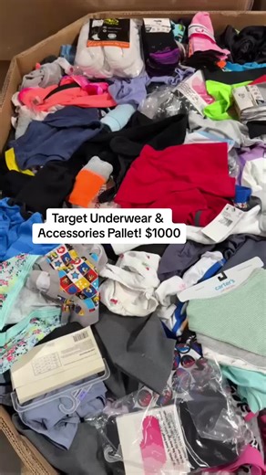 Target Underwear & Accessories Pallet for Resellers