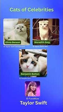 Celebrities You Didn’t Know Are Owned by Cats (Pun intended)