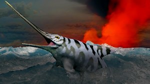 That Time The Ocean Lost (Almost) All Its Oxygen | Eons