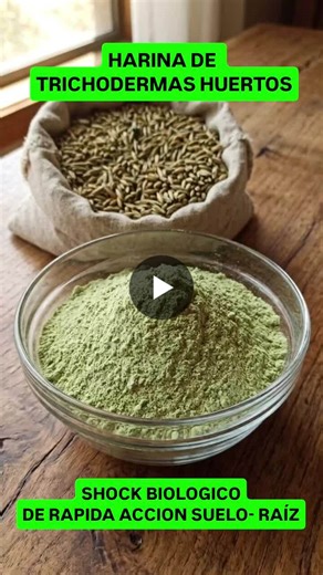 HARINA DE TRICHODERMAS Más que un Inóculo, una Inundación Biológica: Harina de Trichoderma: 25kg por hectarea ​En un mercado saturado de formatos pequeños (500 a 2000 Kg x há) que apenas… | Ivan Paila Villegas