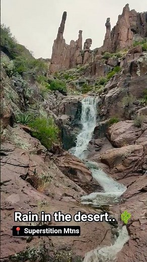 Seasonal Cascades flow on a wet day in the Superstition Wilderness.. #hiking #waterfalls #arizona
