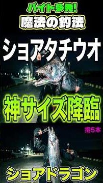 【太刀魚】ショアタチウオ!バイト多発の魔法の釣法#太刀魚釣り#ショアドラゴン#サブマリン釣法