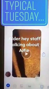 Beasts, devils here is the proof --- The conversation starts excitedly --- B (F): "He's still exhausted, is not he?" [Maybe "beaten", but I'm not sure] To (M): "It was up to me, it would never have been". D (M): «And then stop everything, stop everything ...» B (F): «I do not understand why they say that it is brain dead and to take away support. Because it is not..." --- incomprehensible --- To (M): «I should not be here to tell you about it. I can not tell you what I think because ... well, I'