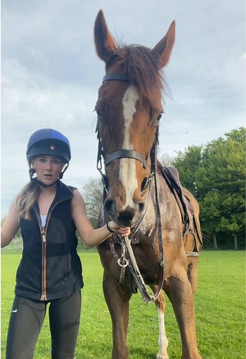 Understanding the Importance of Horse Training