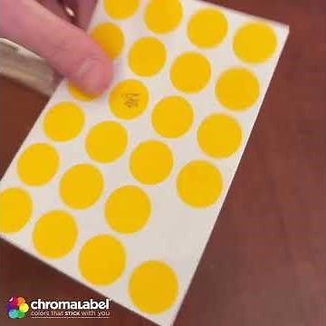 How to Use Color-Coding Stickers: ChromaLabel's 3/4" Specialty Dot Kit