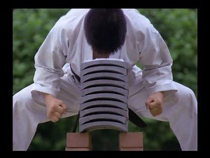 Budo The Art of Killing | Top Karate Video