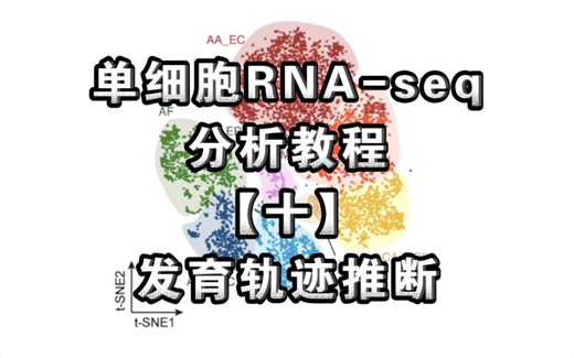 单细胞RNA-seq分析方法【十】发育轨迹分析