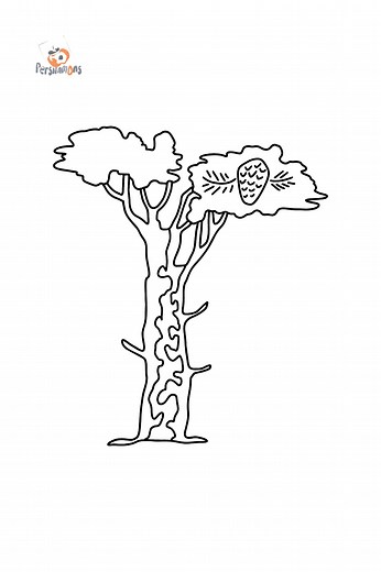 Dibujo de árbol de cedro para colorear Imprime y Colorea en Línea