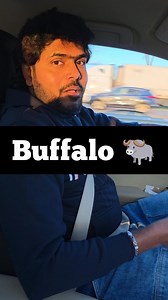The French explorers in the 1700s called it “Beau Fleuve” (meaning beautiful river). English settlers may have misheard or adapted “Beau Fleuve” into “Buffalo.” #purushdman #livingbikerlife #vlogger #travel #usa #influencer #buffalo | Livingbikerlife