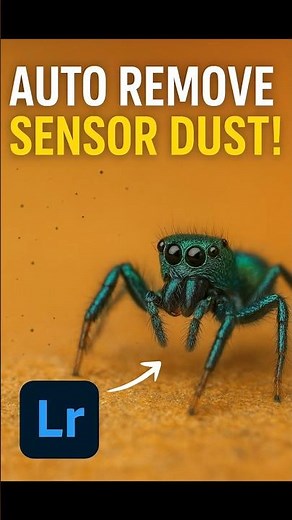 How to Instantly Remove Sensor Dust Spots in Lightroom Classic (Step-by-Step) #lightroomtutorial