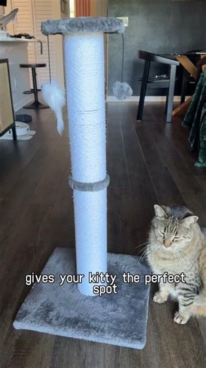 Built for daily scratching, stretching, and play.Ahomdoo Cat Scratching Post